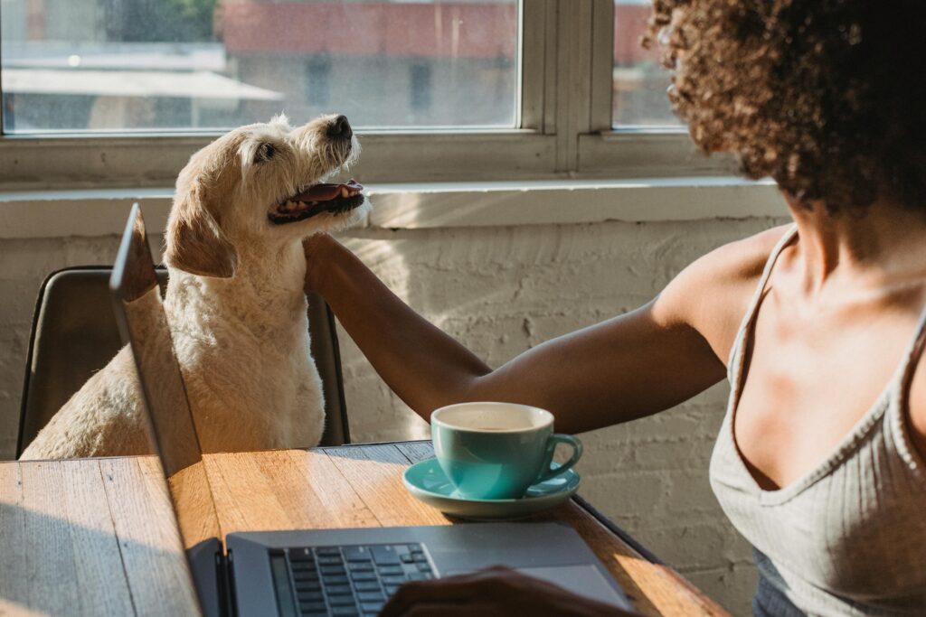 Faceless young black woman sitting at table and working remotely on computer with cup of coffee while petting dog in daylight at home